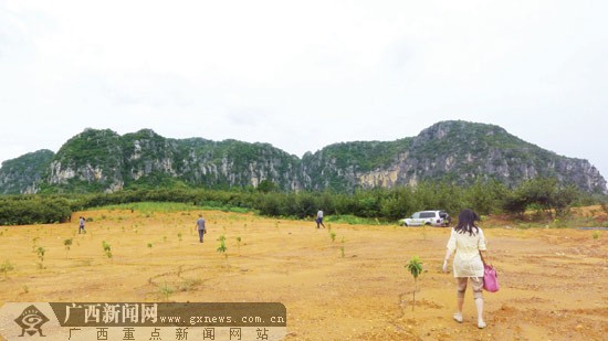 去年底,在隆安县乔建镇儒浩村,自治区和南宁市两级文化部门在当地