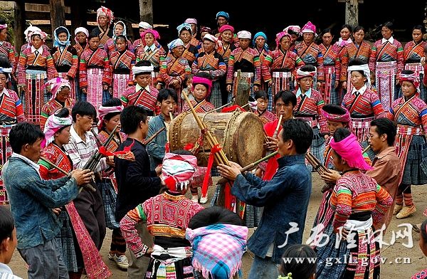 美丽神奇的隆林花苗