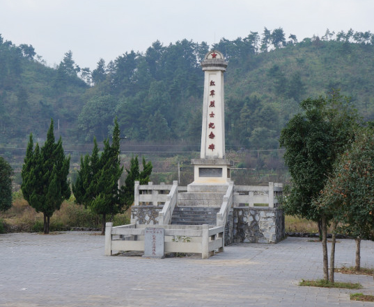 灌阳总人口_灌阳油茶