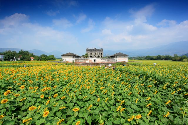 武宣县下莲塘村