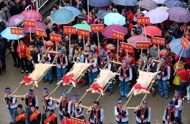 3月30日,在广西柳州市融安县板榄镇,参加抢花炮比赛的队员展示奖品肉