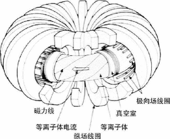 托卡马克实验装置结构