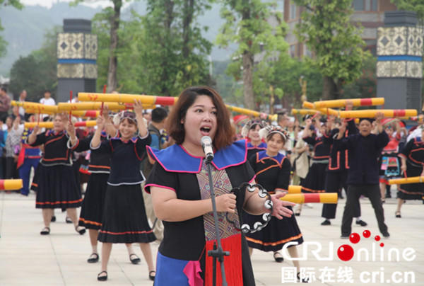 壮族总人口_...人花街宴 三月壮族花街节在广南隆重举行(3)