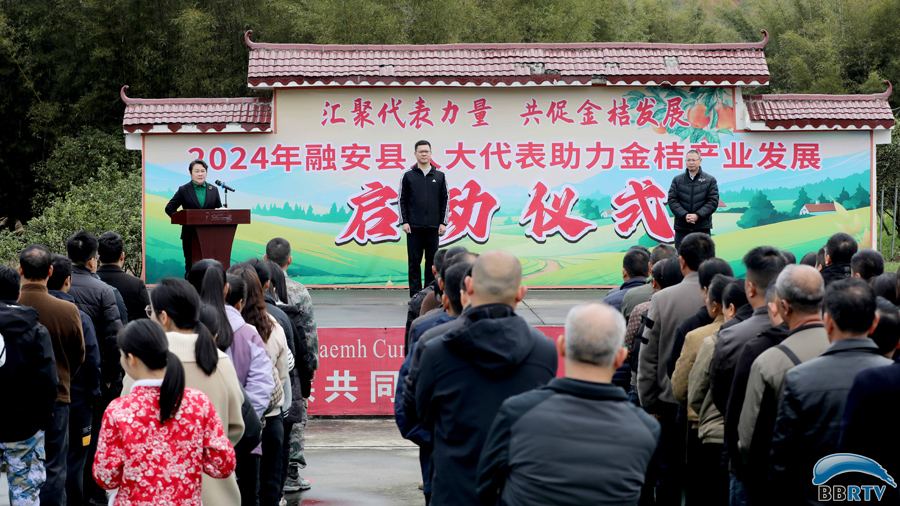 3月19日，在广西柳州市融安县大将镇拍摄的2024年融安县人大代表助力金桔产业发展启动仪式现场。（覃庆和  摄）