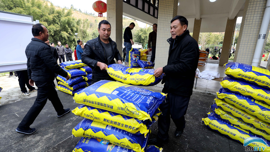 3月19日，在广西柳州市融安县大将镇，获赠农资的金桔种植户在搬运农资。（覃庆和  摄）