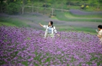 贵州瓮安：荒坡变花海 美景引客来