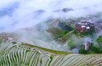 雨后广西龙胜龙脊梯田美如画