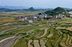 飞阅桂北春日田园