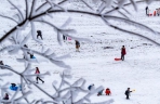 摄影师实拍金佛山雪后初晴