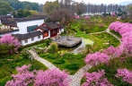 Wuhan has a plum of a tourist attraction