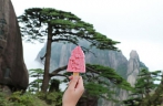 Huangshan Mountain scenic spot rolls out creative pine-shaped ice cream