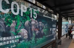 COP15 meeting to kick off in SW China’s Kunming City