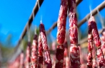 Taste of Spring Festival on tip of my tongue： sun-drying cured meat in rural areas