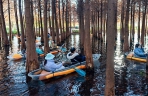 云南昆明：湿地水杉别样红