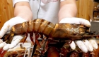 缅甸老虎虾：来自亚洲热带海域的美食