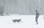 比利时布鲁塞尔迎来降雪