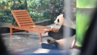 天津大熊猫 新年搬新居
