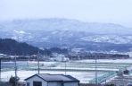 韩国江陵迎来降雪