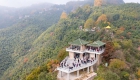 绝代枫华莫干山 红枫节“枫”景正浓