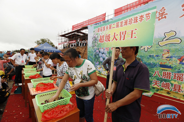 通讯员黄元松,姚文忠)眼下,正是龙滩珍珠李成熟的季节,在天峨县八腊