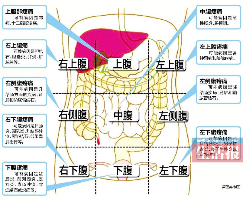 腹部右上方疼痛位置图图片