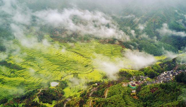 董团乡仙山村有多少人口_武鸣锣圩镇仙山村公章(2)