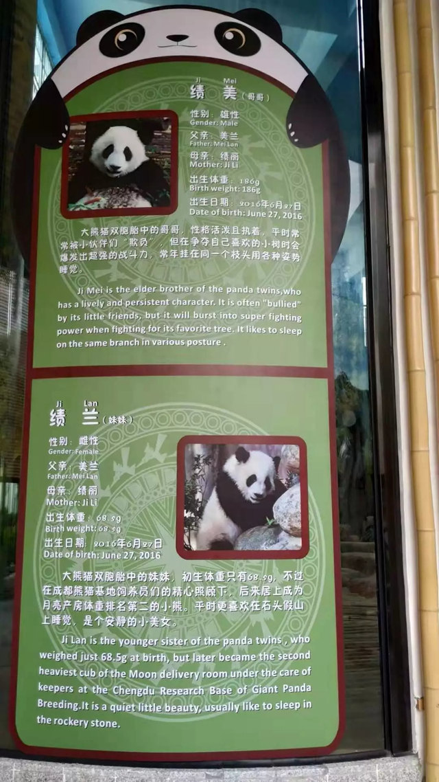 熊猫的资料卡片图片图片