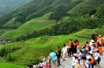 龙脊梯田迎旅游旺季 中外游客饱览盛夏美景