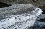 北海涠洲岛火山岩被海盐附体如雪景