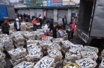 广西北海：新春鱼市旺