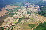 View of paddy fields in Donglan County of south China’s Guangxi