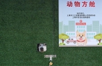18 pets discharged from Shanghai’s first ‘makeshift shelter for animals’