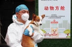Animal shelter closes in Shanghai