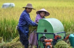 Farmers work in paddy fields in S China’s Guangxi