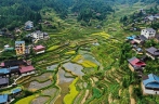 Scenery of terraced fields in Liangyou， Guangxi