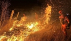 蒙古国草原火蔓延至中蒙边境 内蒙古森林消防彻夜堵截