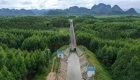 广西来宾：“桂中治旱”工程灌溉良田百万亩