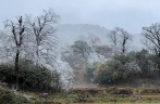 广西气温骤降 北部山区雪景五彩斑斓