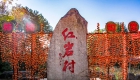 广西恭城红岩村：“中国第一月柿之乡”