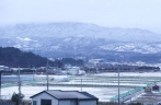 韩国江陵迎来降雪