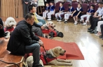 北京举行国际导盲犬日公益活动