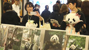 “‘香香’让我爱上中国文化”——记大熊猫“香香”7岁庆生会在东京举行
