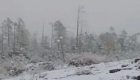 大兴安岭迎来今秋第一场雪