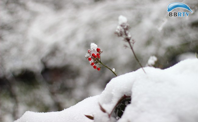 小雪时节呵护健康，要注意这些