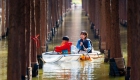 滇池湿地水杉红 生态美景引客来